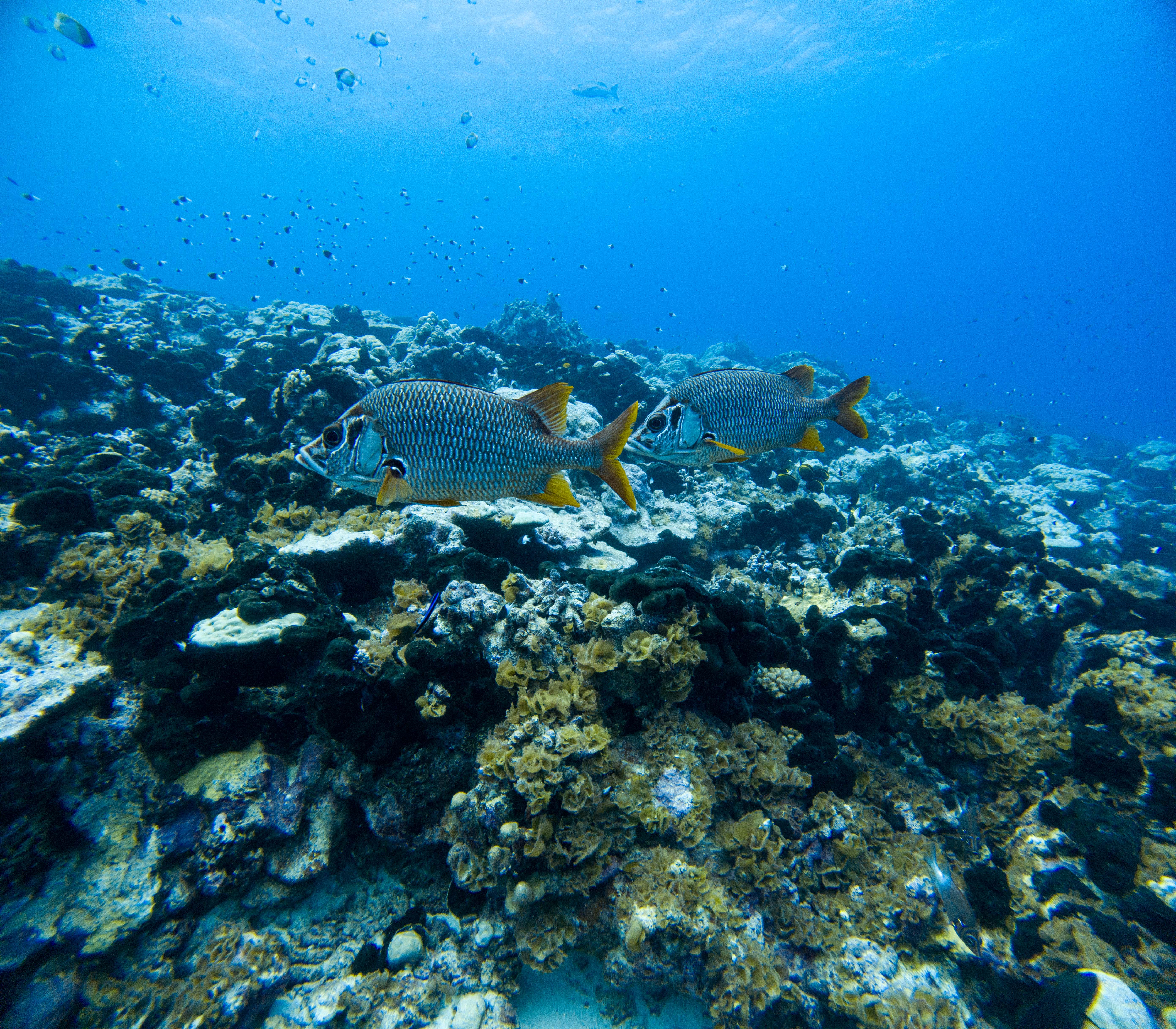 Adam's Pics (26).JPG