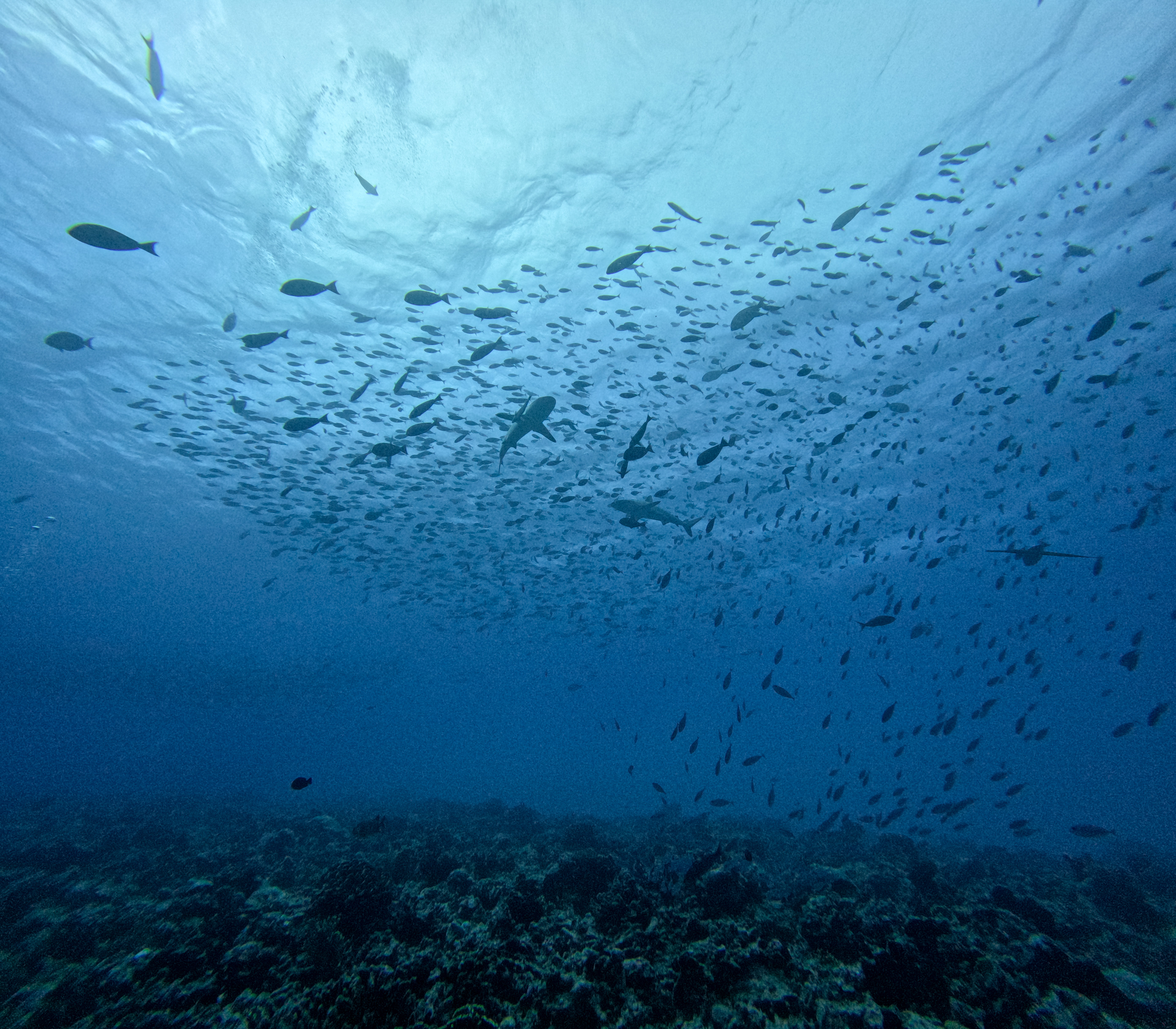 Adam's Pics (27).JPG