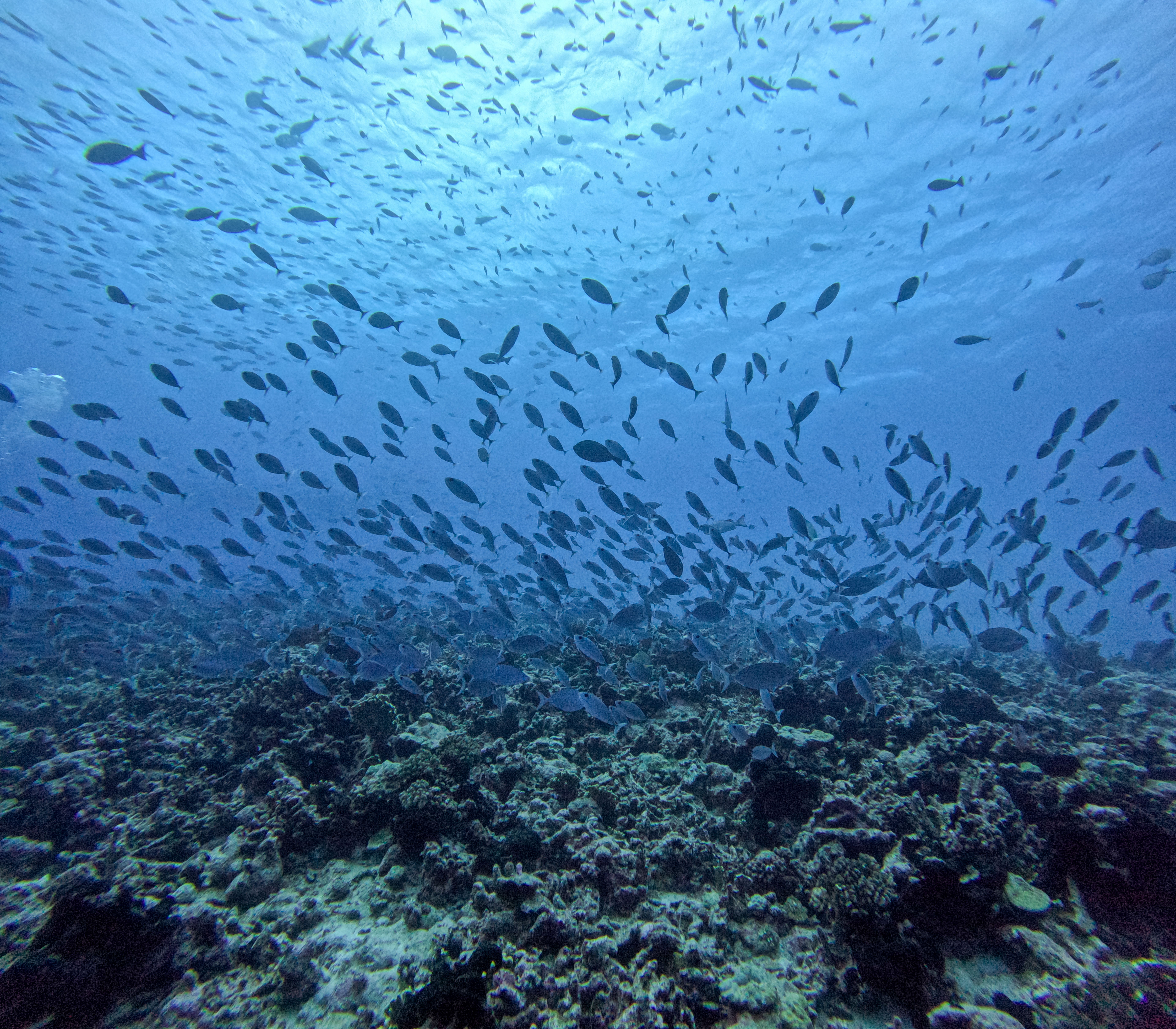 Adam's Pics (29).JPG