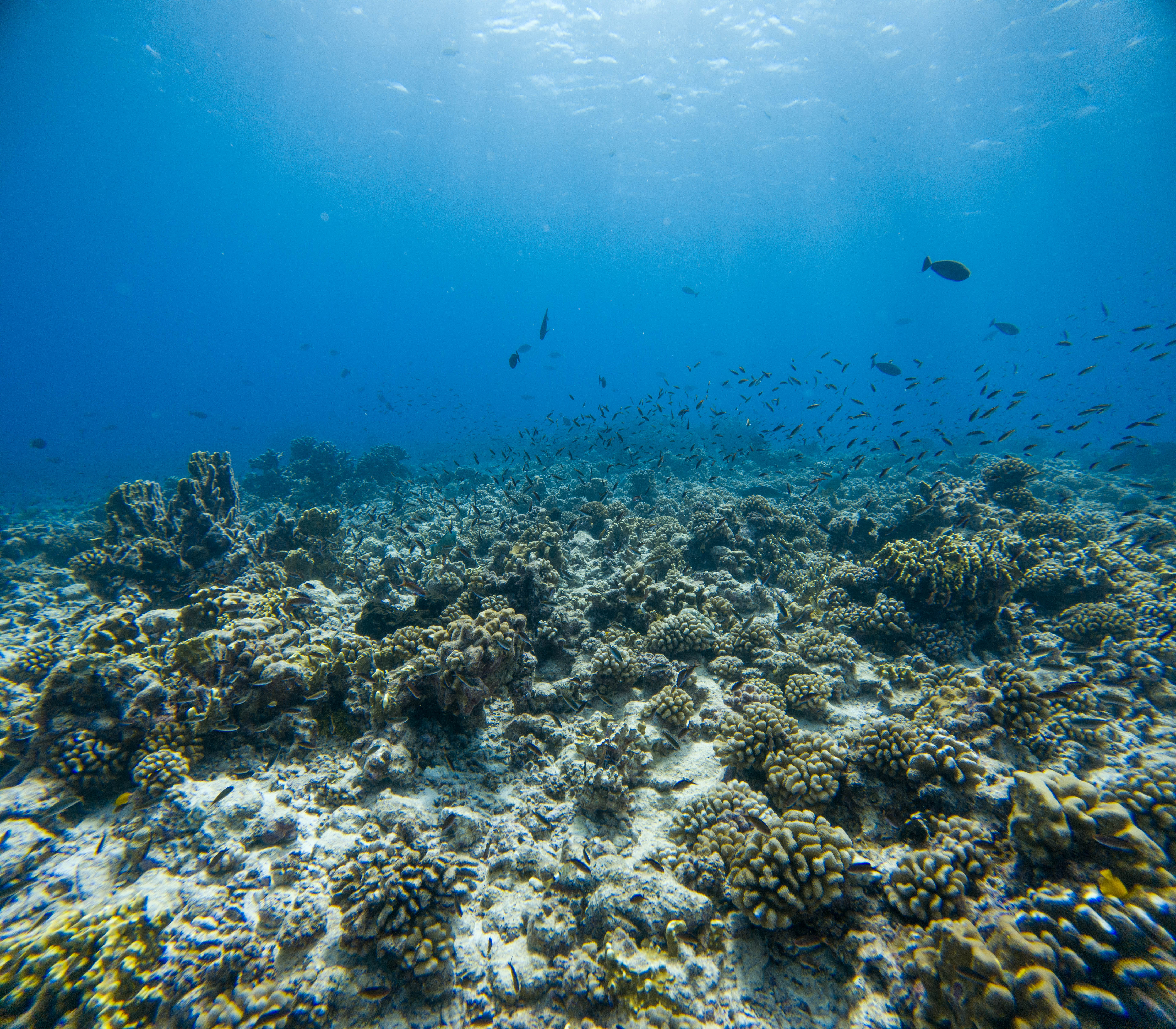 Adam's Pics (30).JPG