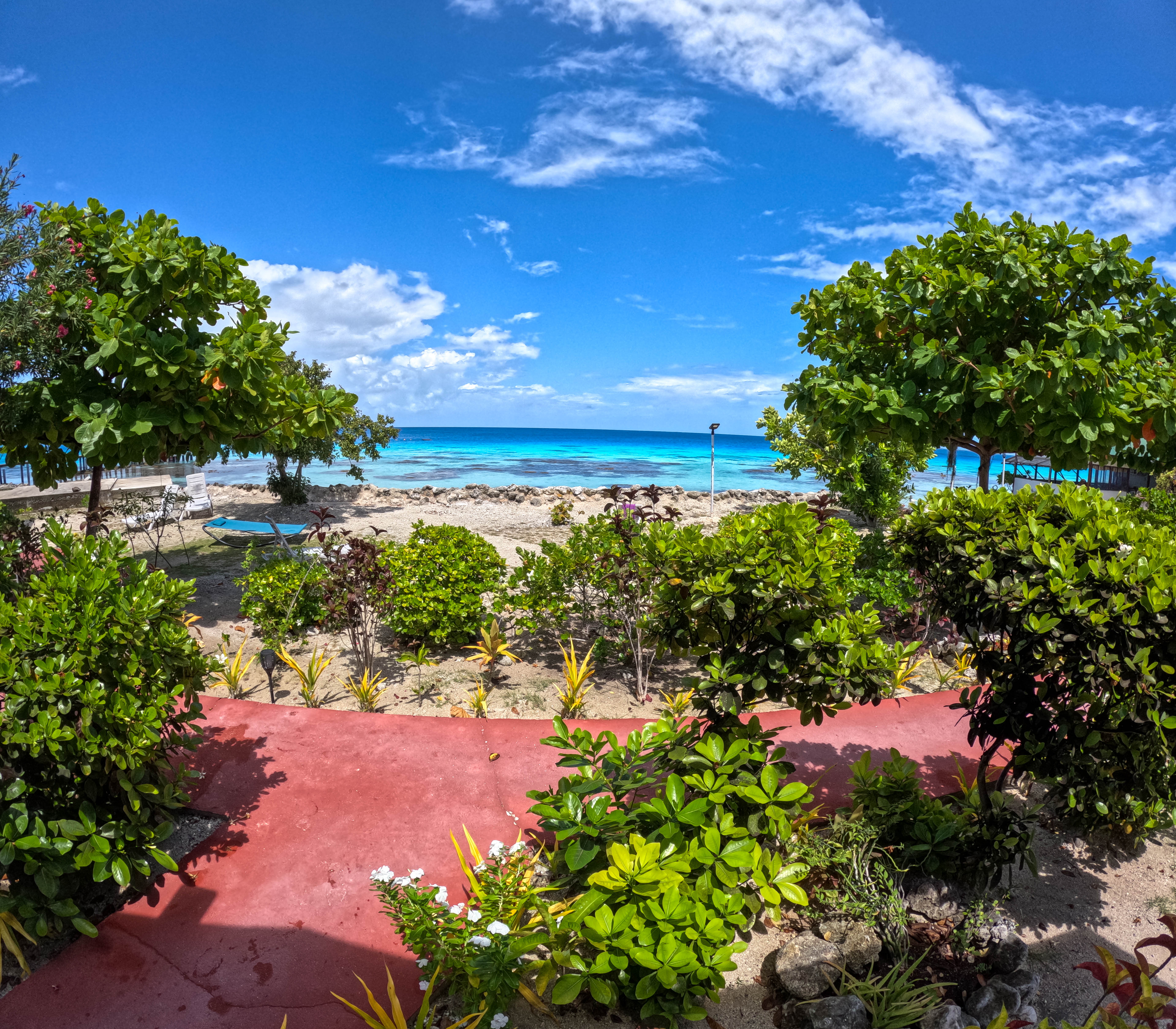 Adam's Pics (34).JPG