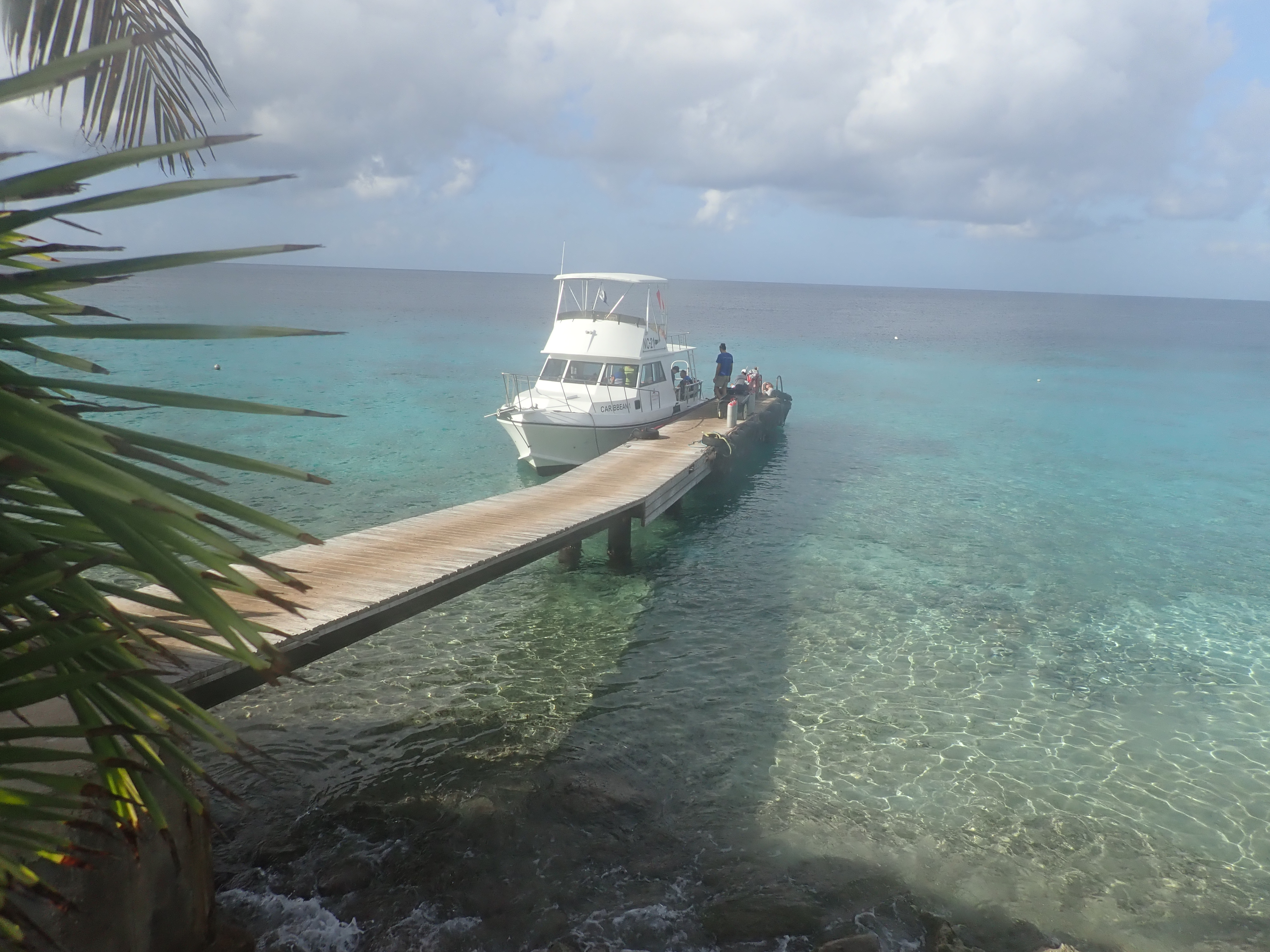 Alice in Wonderland dock