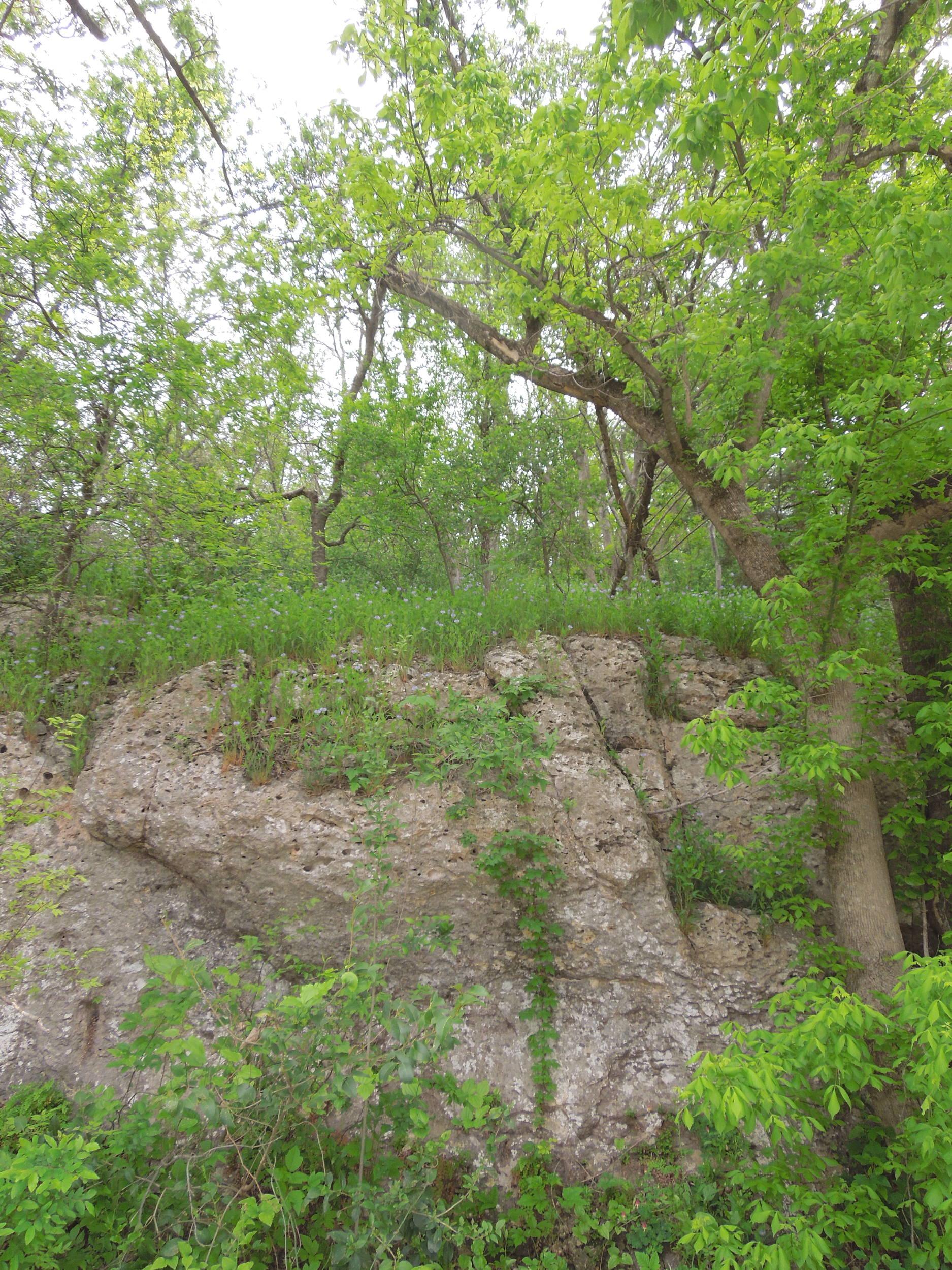 Along the path