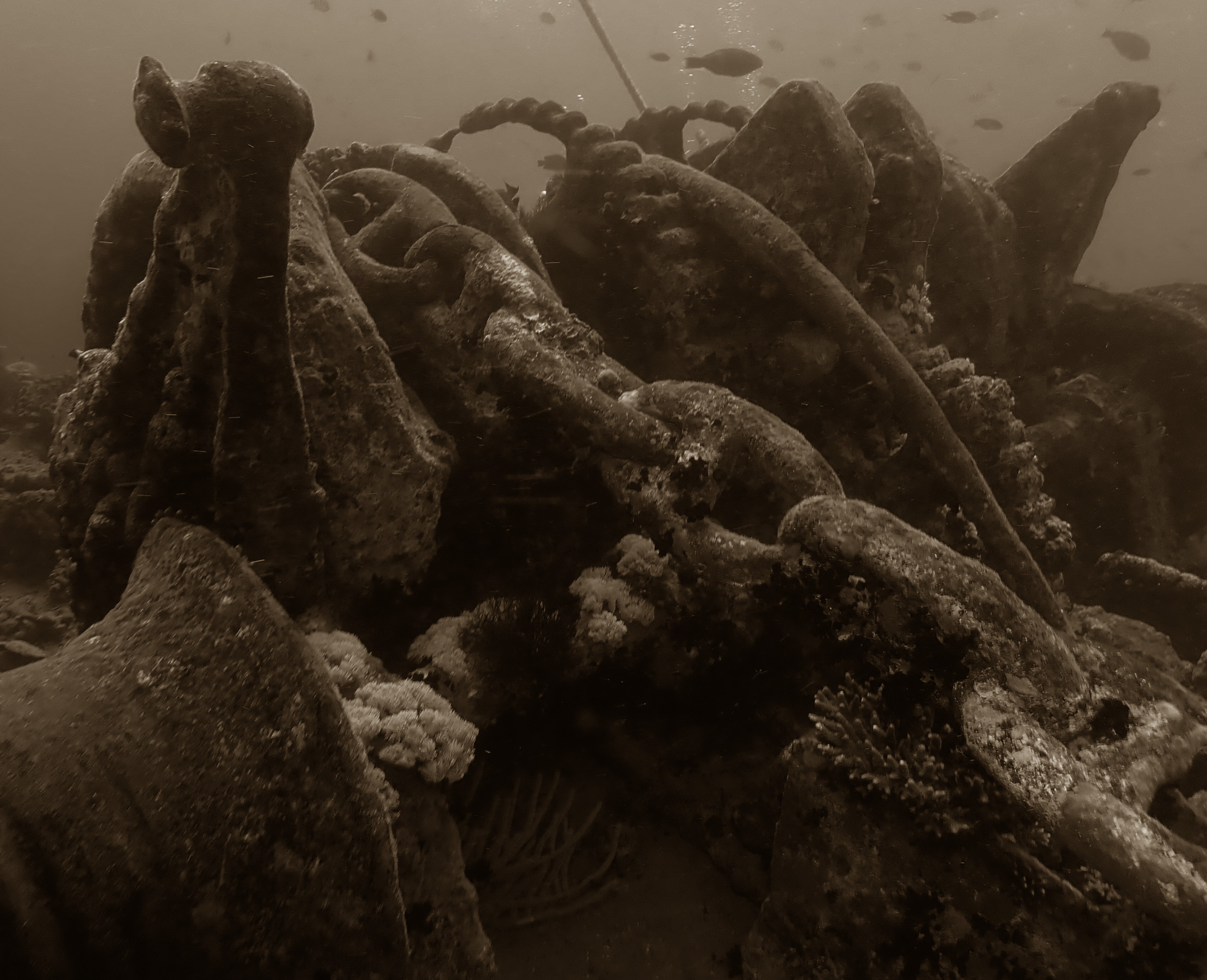 Anchoraged