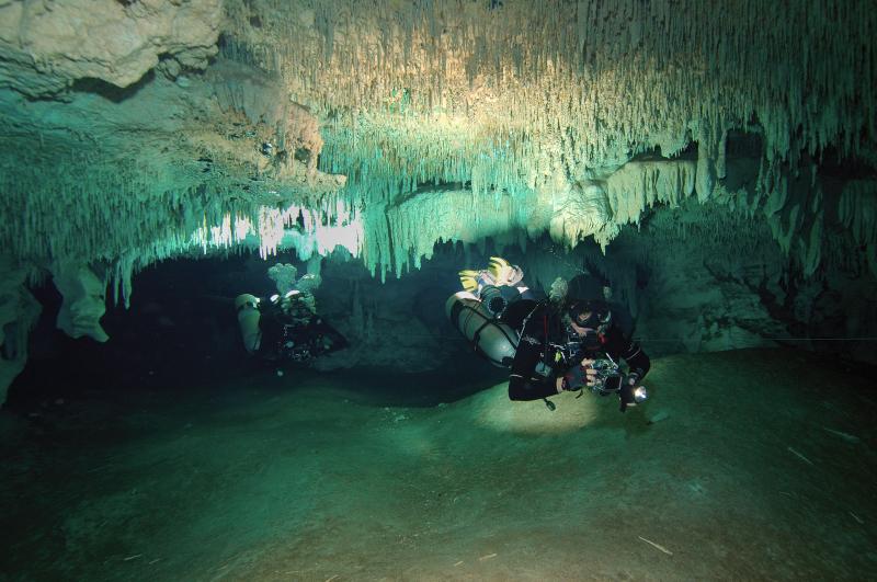 AquaCat & Gregg in Dos Pisos