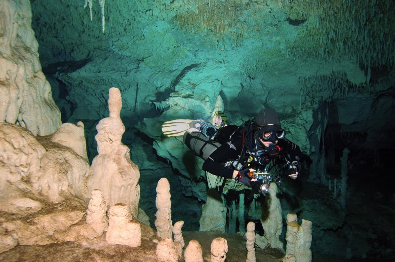 AquaCat in Dos Pisos