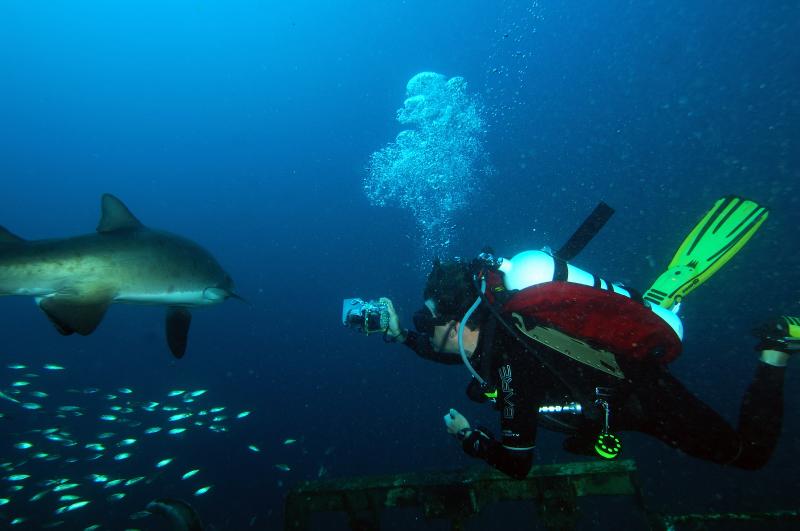 Aquacat plays with the natives
