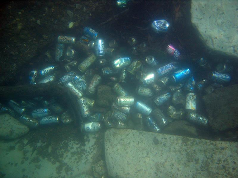 Aquarena4