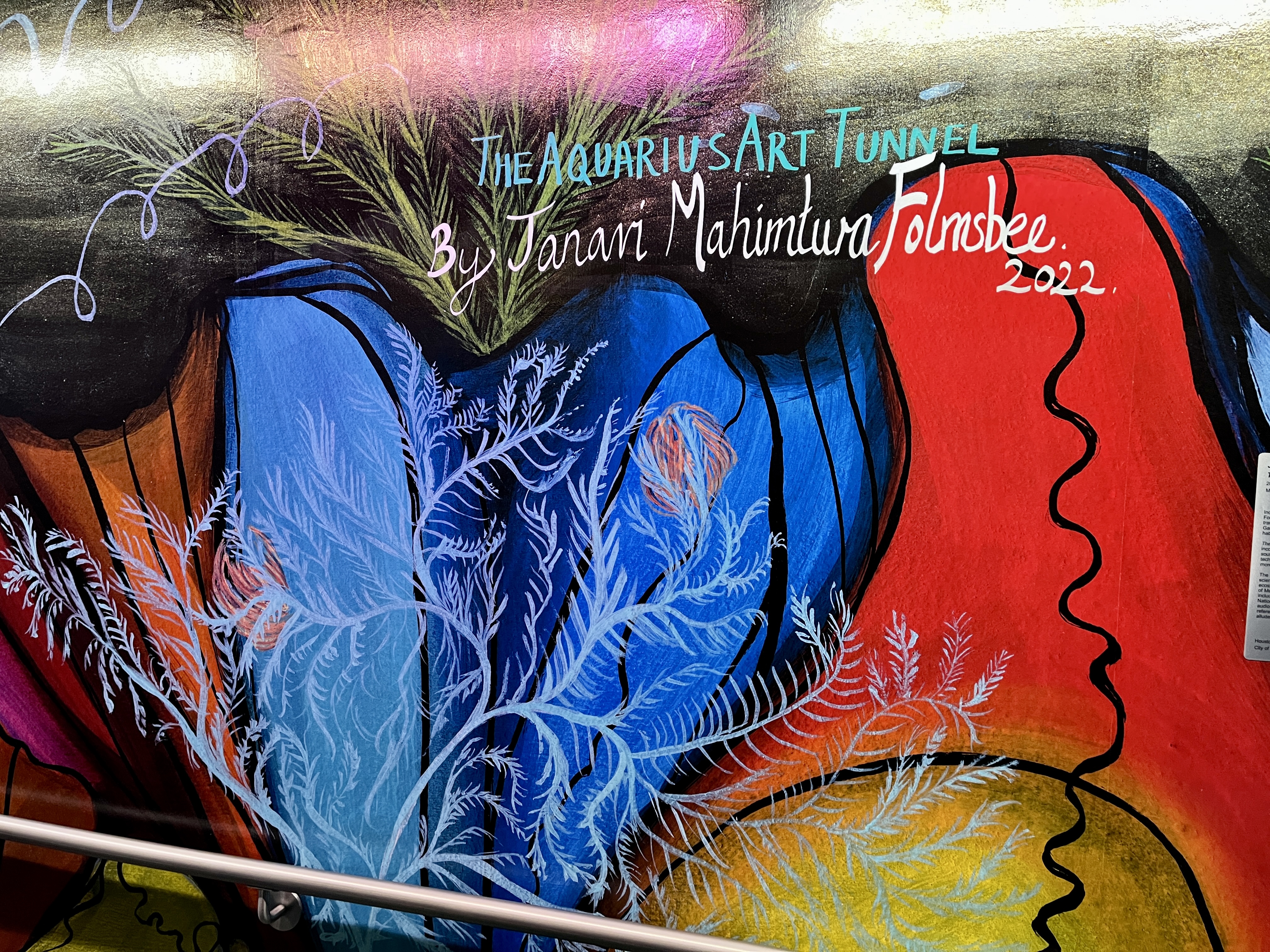 Aquarius Art Tunnel