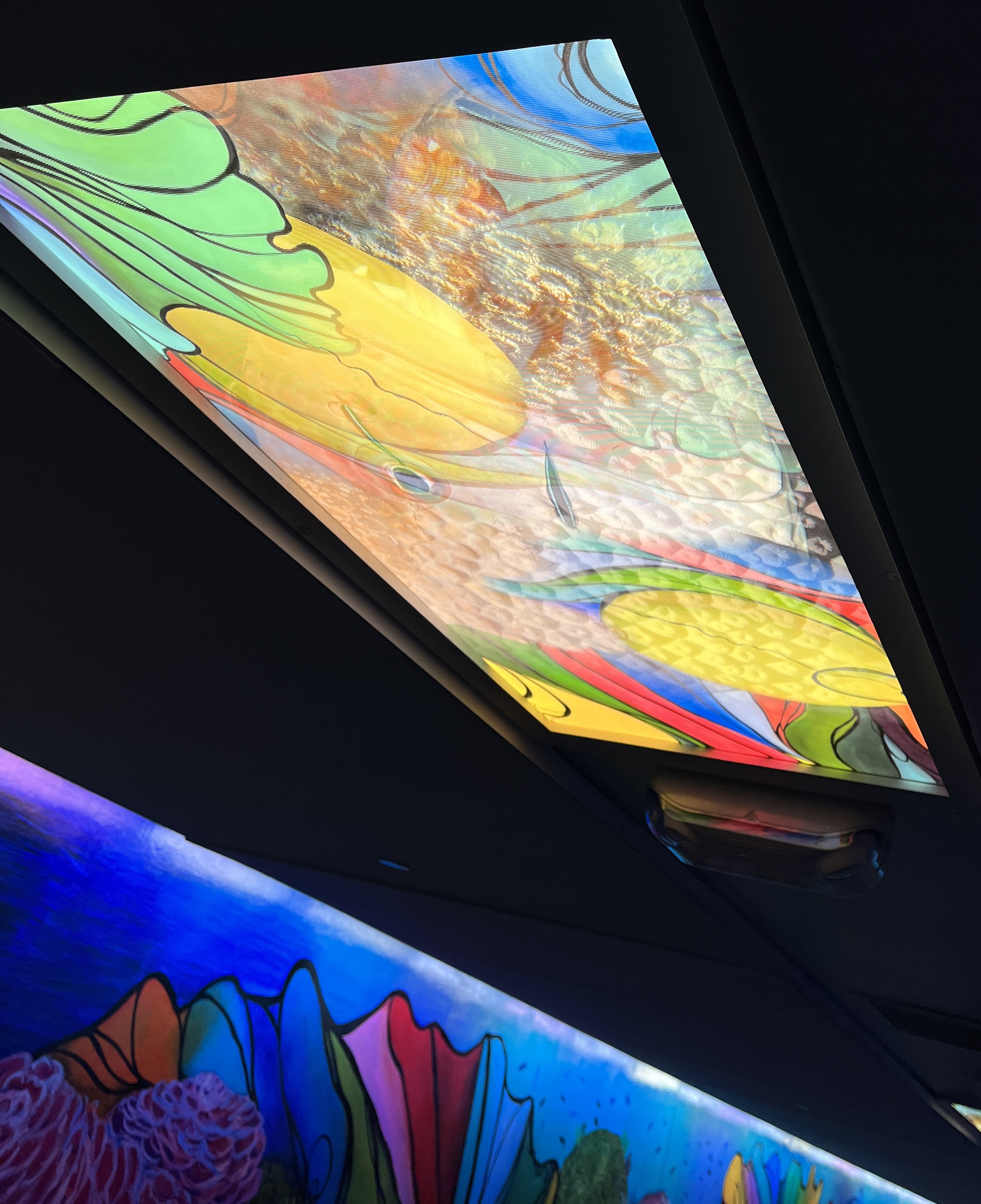 Aquarius Art Tunnel