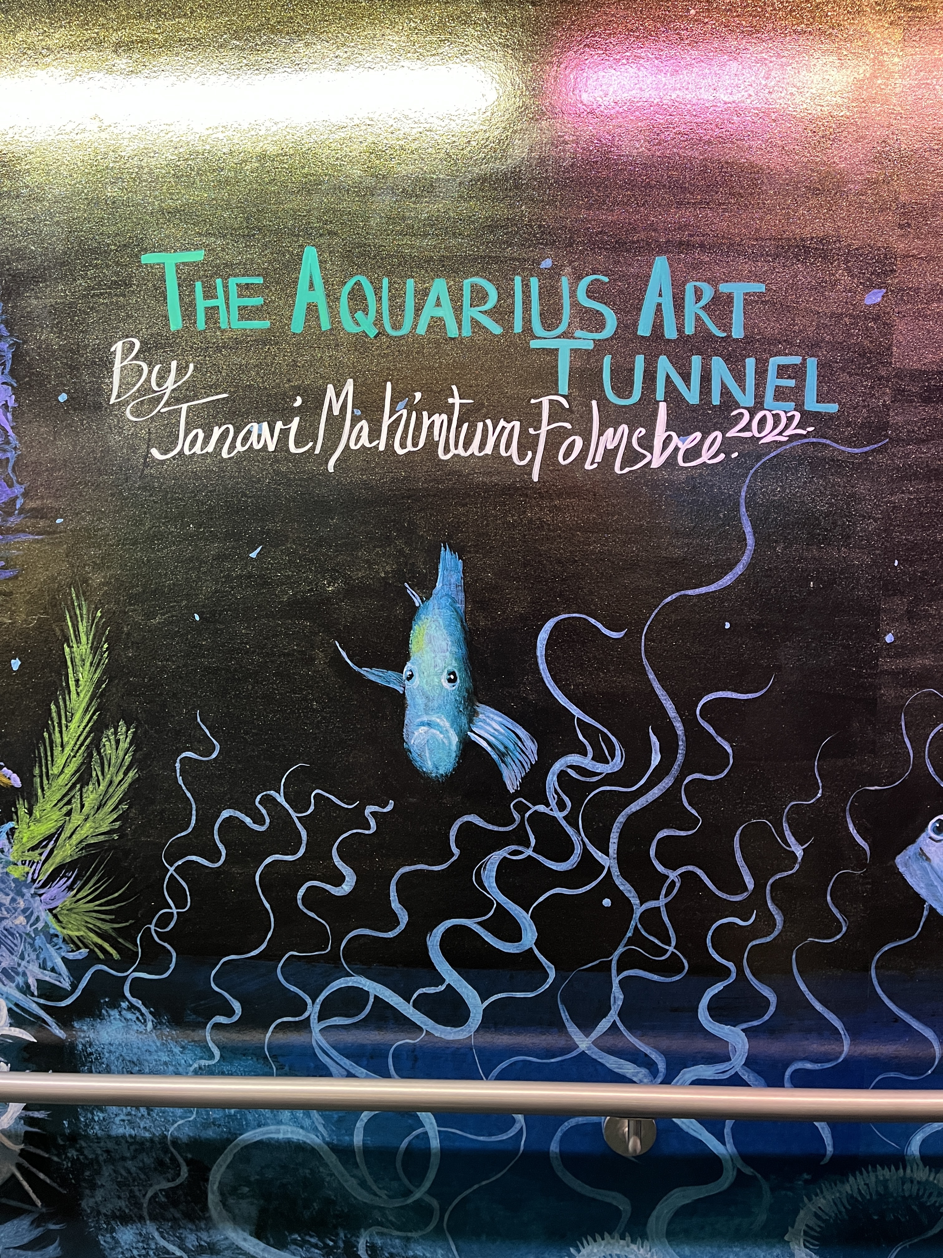 Aquarius Art Tunnel