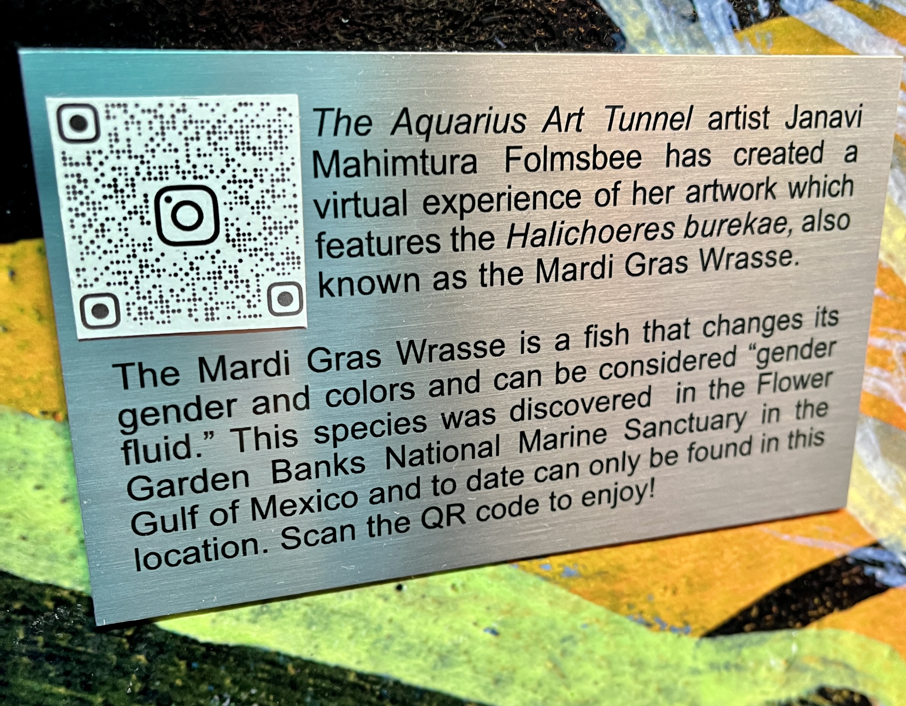 Aquarius Art Tunnel