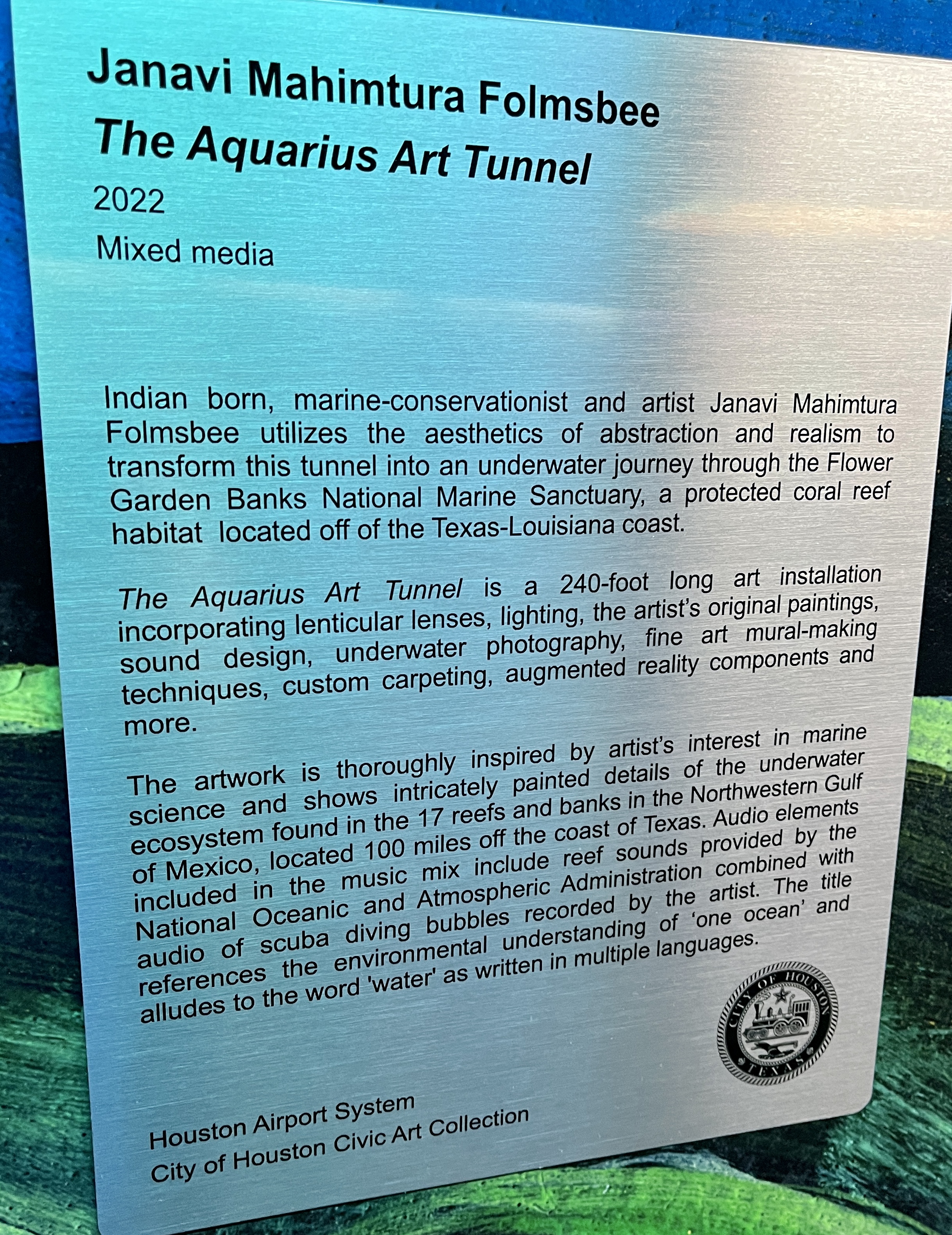 Aquarius Art Tunnel