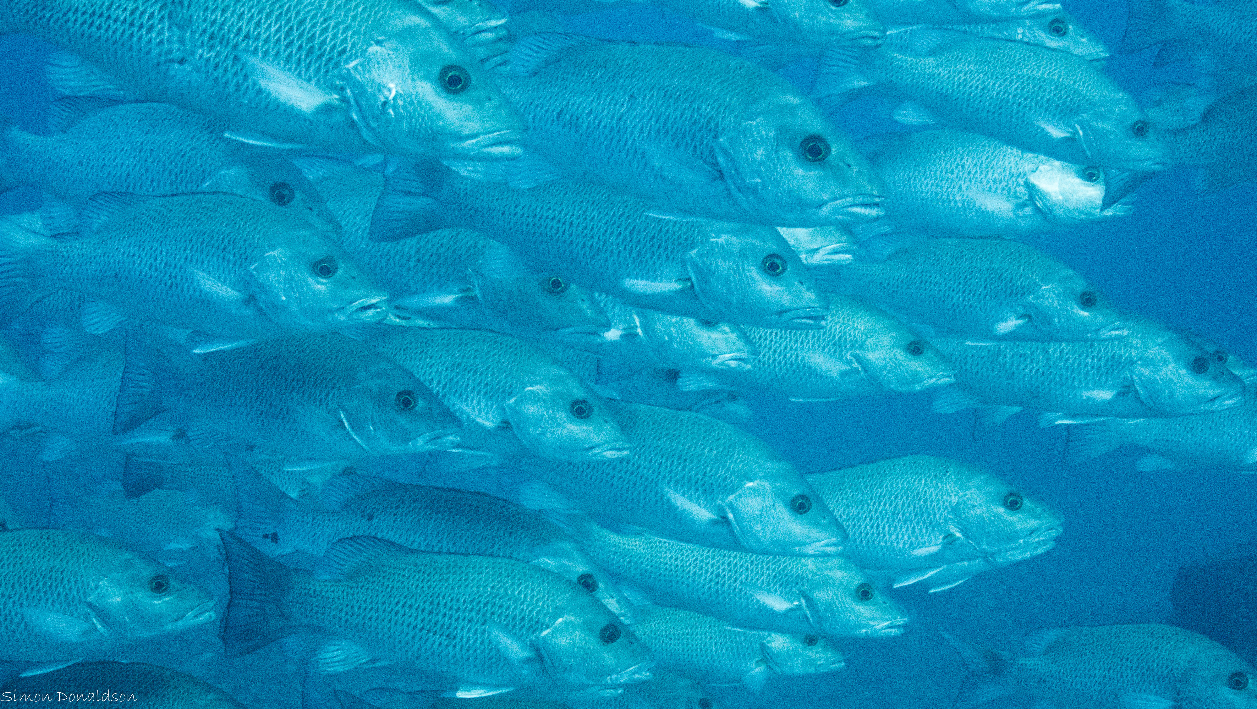 Are you going my way?