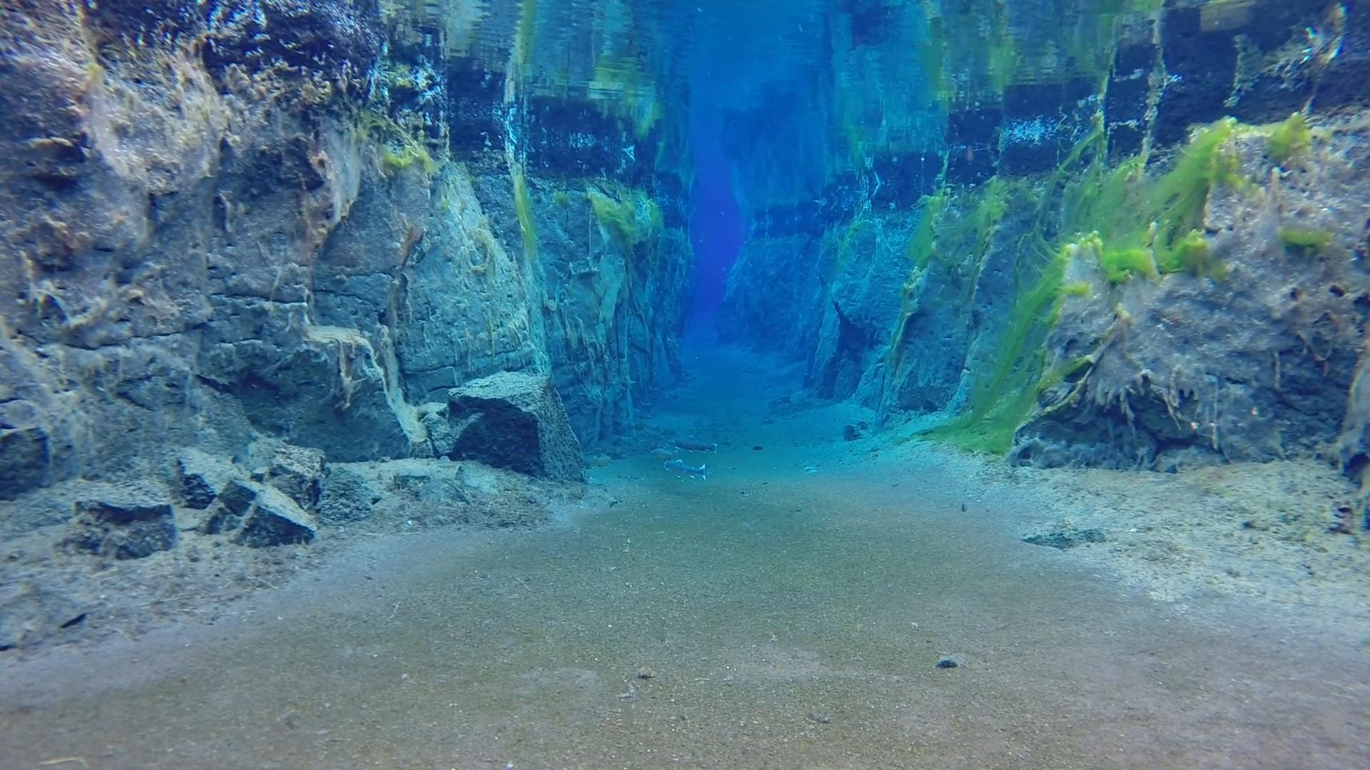 Artic char in Nesgja