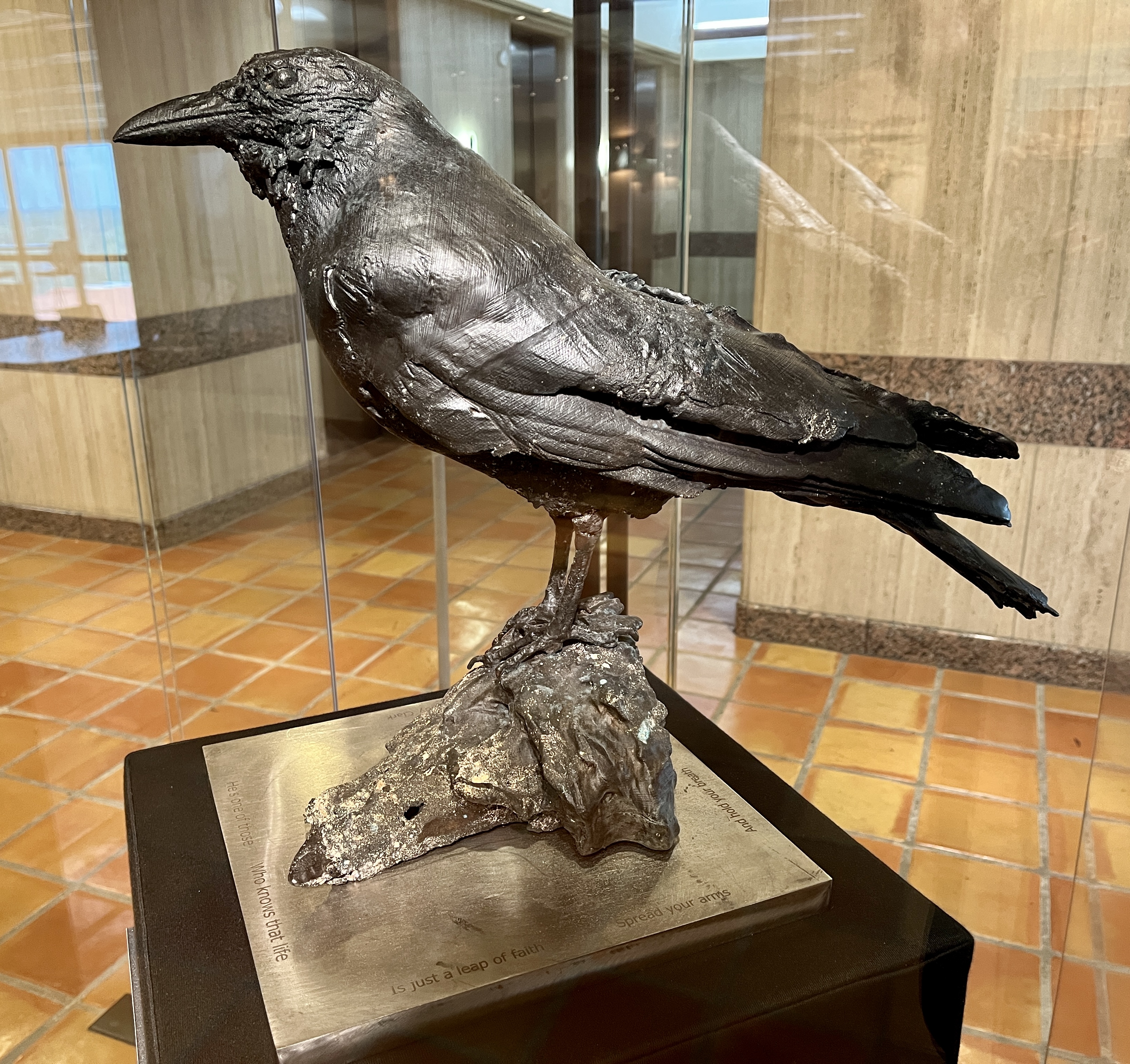 At the Wittliff Collections