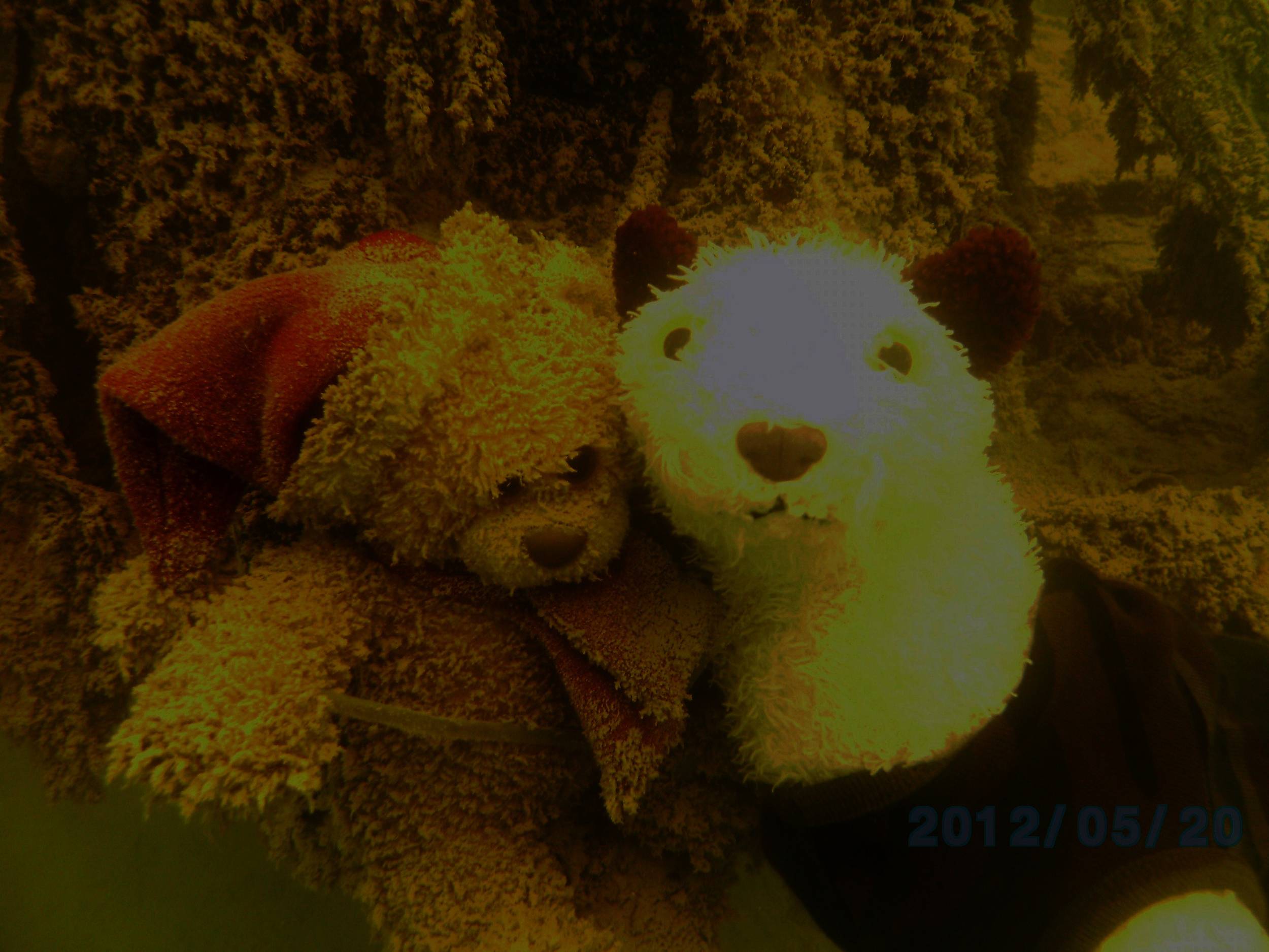 Athens Scuba Park, May 2012