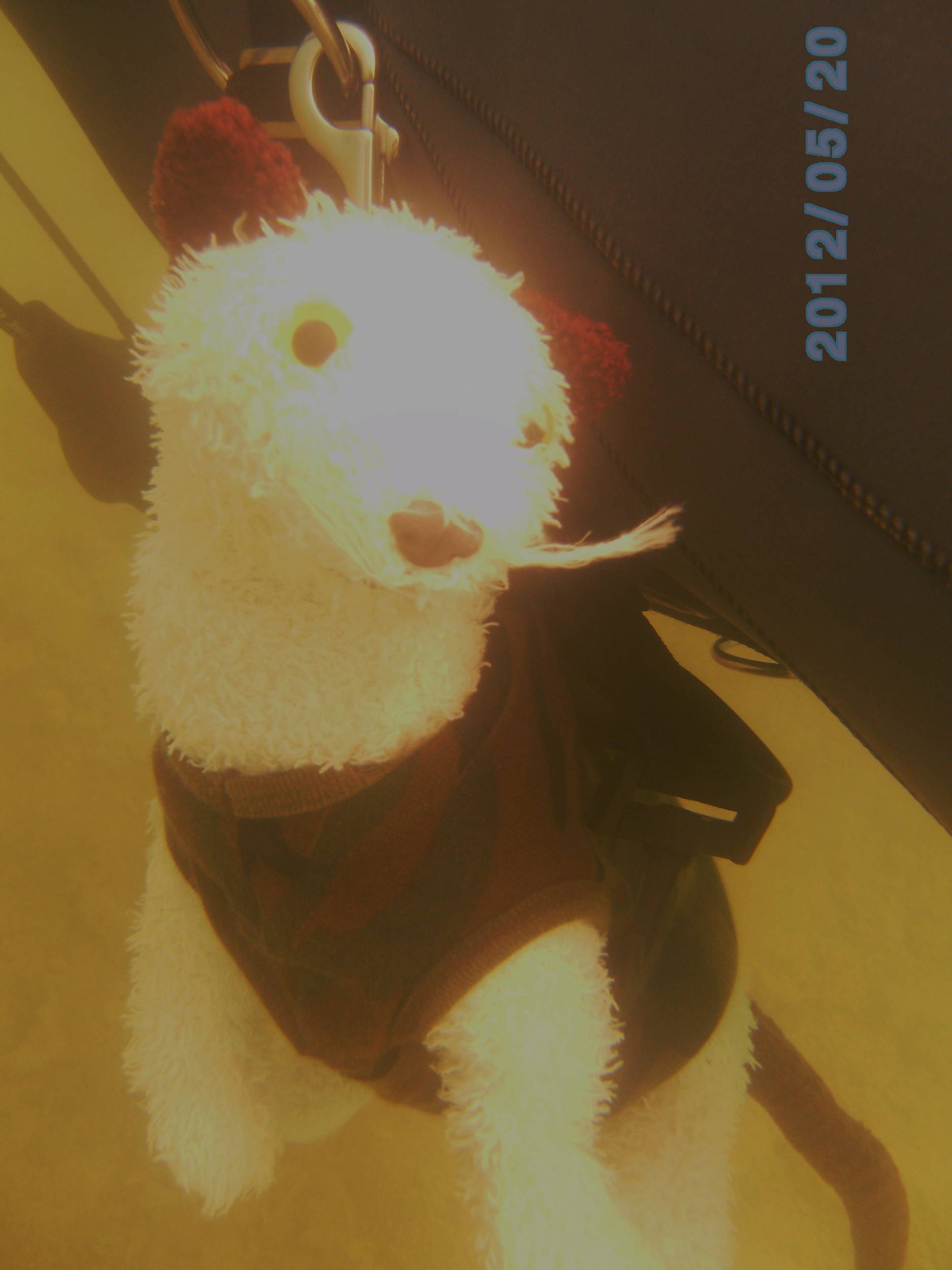 Athens Scuba Park, May 2012