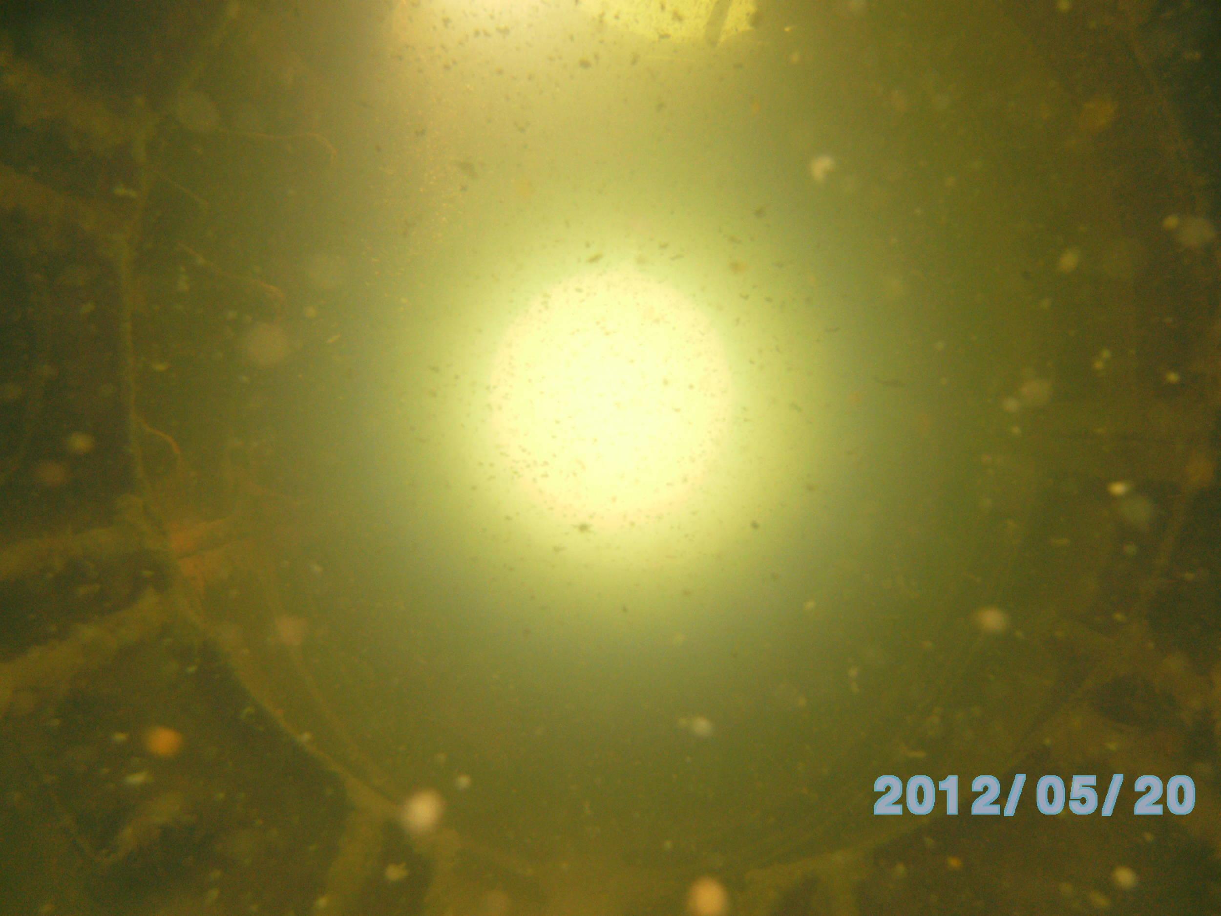 Athens Scuba Park, May 2012