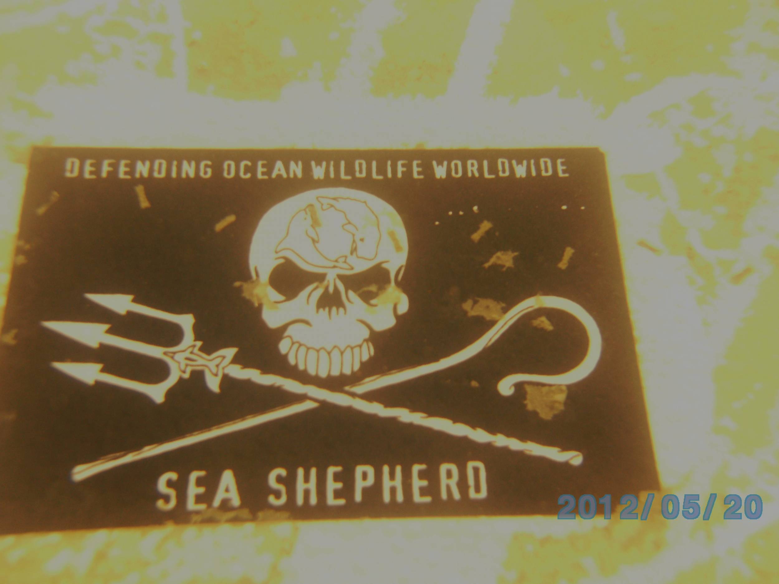 Athens Scuba Park, May 2012