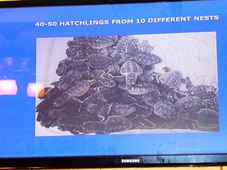 Aug 2015 - awww...the reason we came