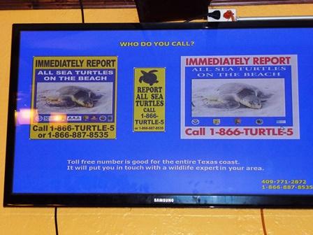 Aug 2015 - Who you gonna call?