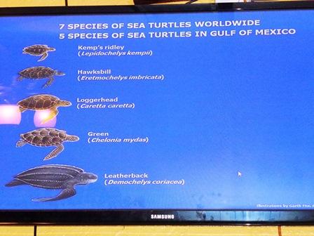 Aug 2015 - You only gotta know 5