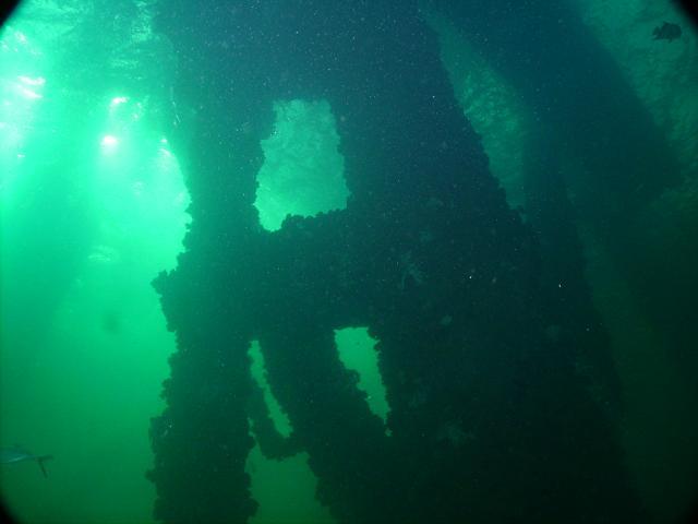 August 2010 - Rig Dive from Freeport
