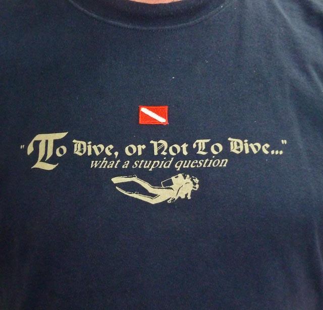 Australia 2010 t-shirt To dive or not to dive