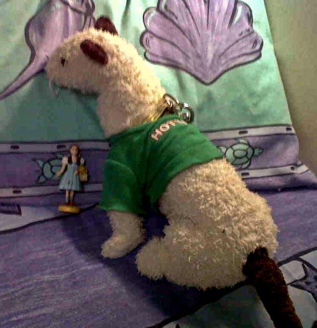 Australia 2010 Wet and Dorthy Happy on the M/V Spoilsport