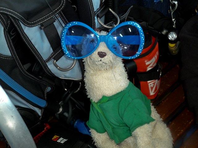 Australia 2010 Wet is glammed up to dive