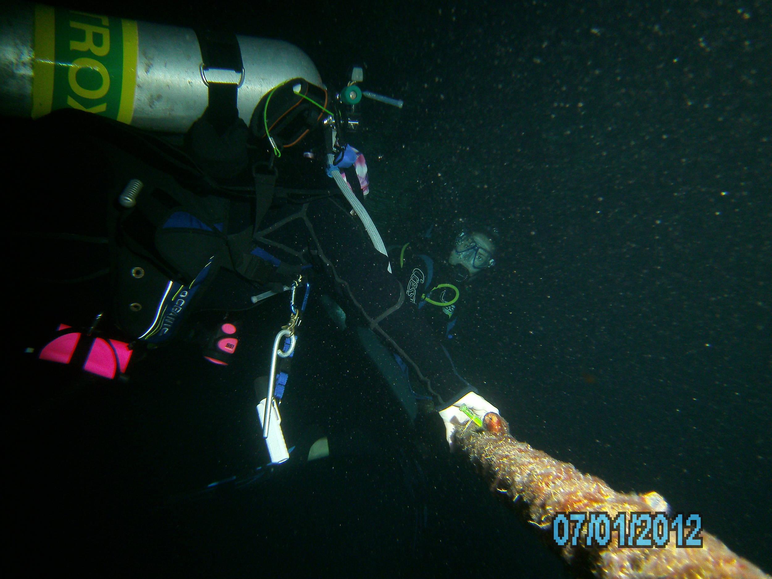 Australia_Underwater_2012_173