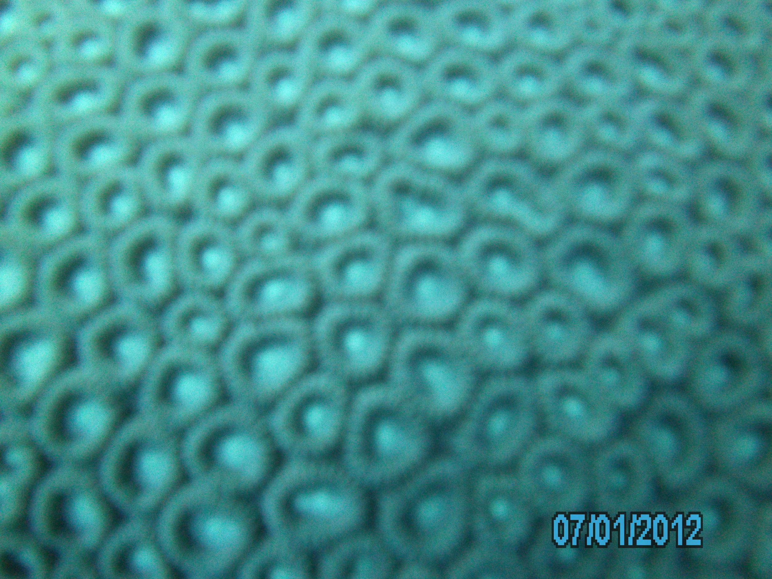 Australia_Underwater_2012_212