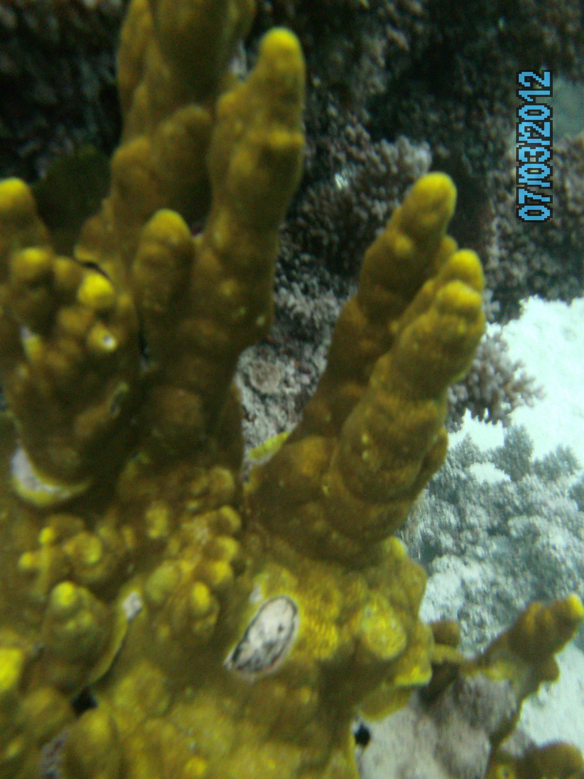 Australia_Underwater_2012_360