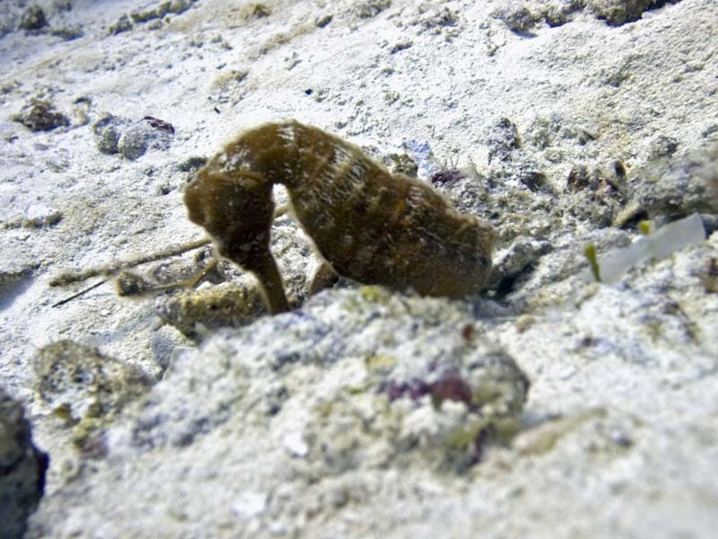 B.I.T.C.H - Enough said!