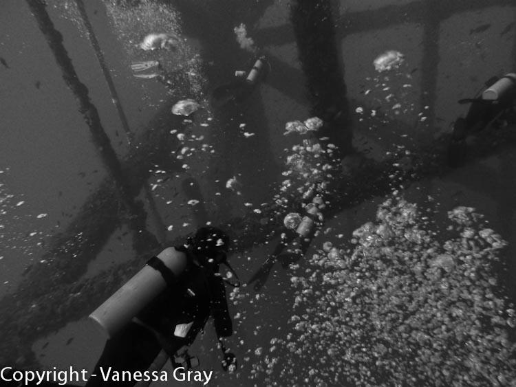 B&W Rig Diver