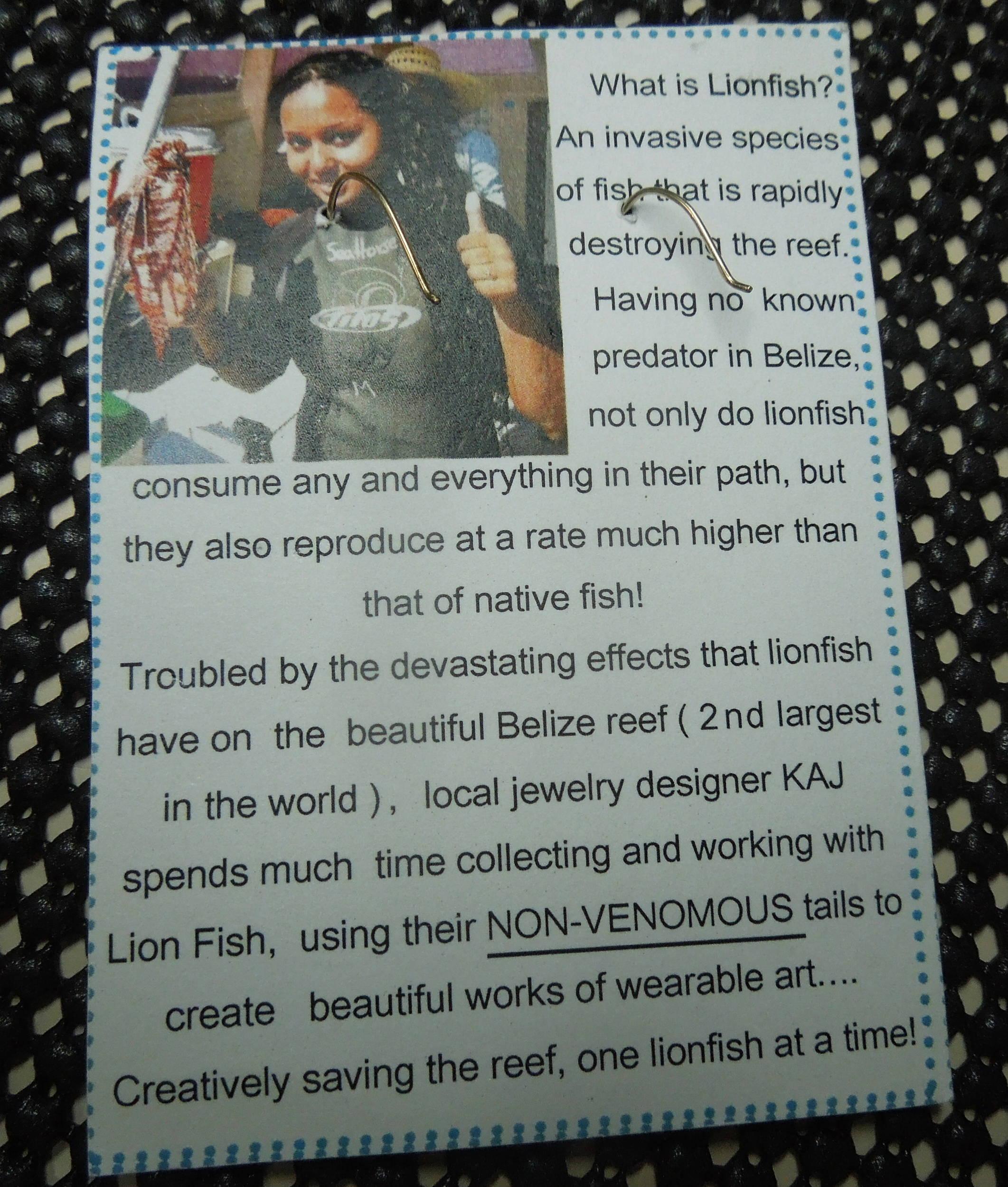 back of the card