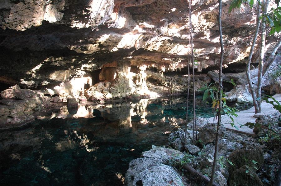 Backstage of the Caribbean Tank