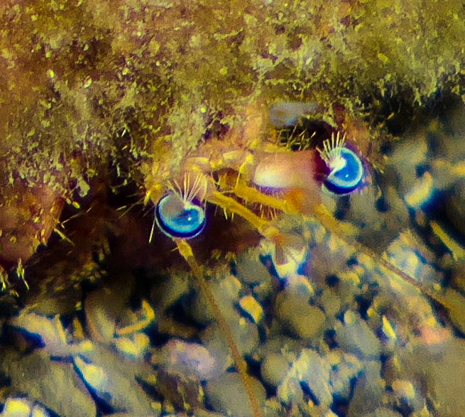 BAE7D554-8293-447F-ADD9-08AB9B6803B0