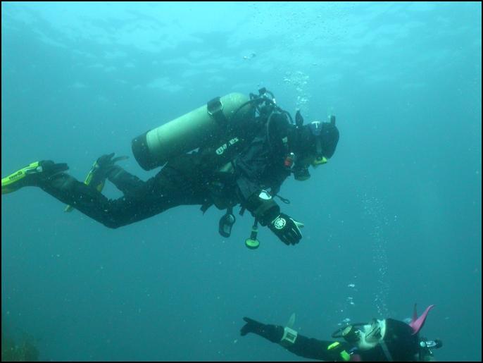 Batfish @ Blue Car Wreck