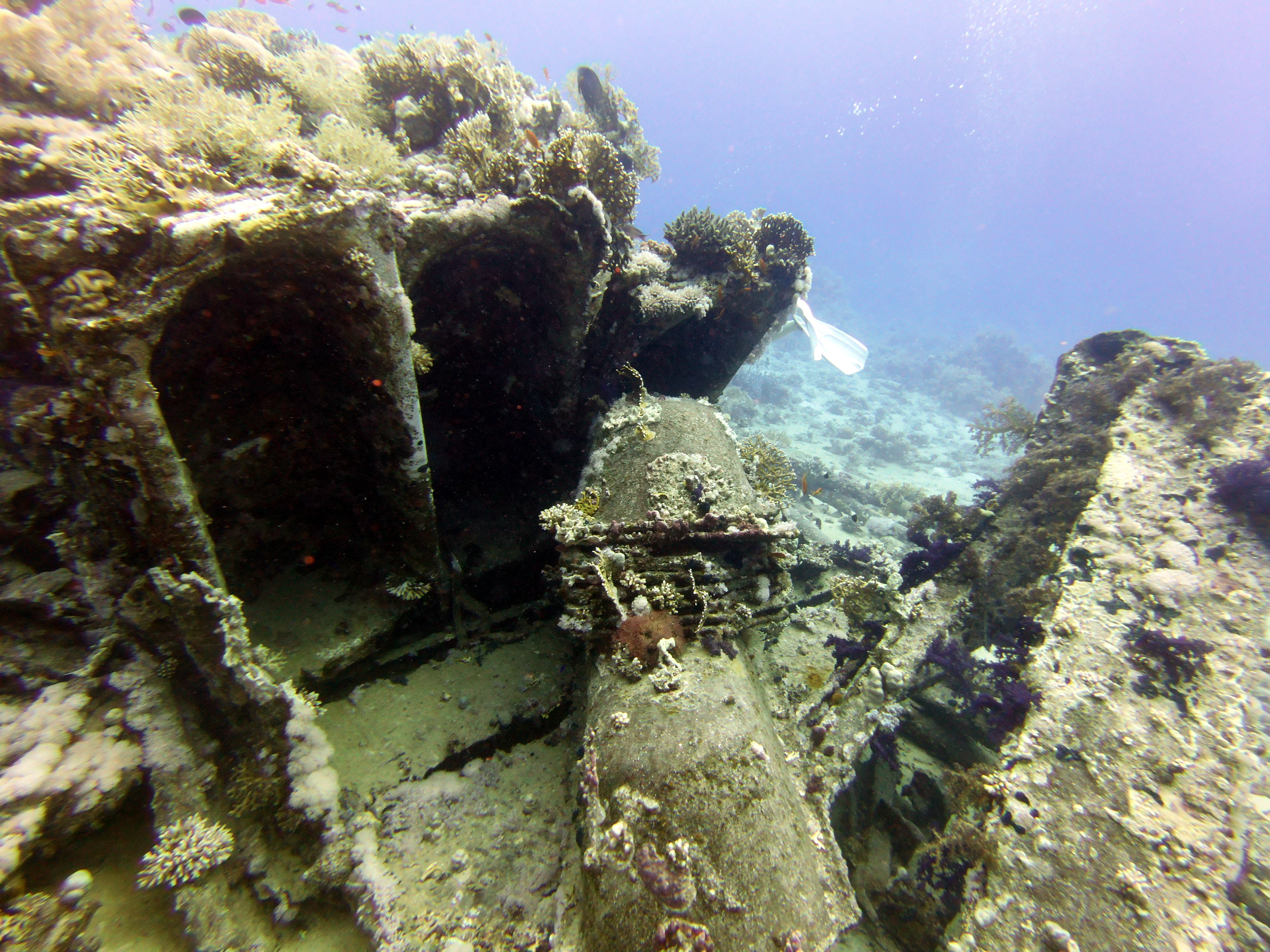 Bathtubs at Shark Reef