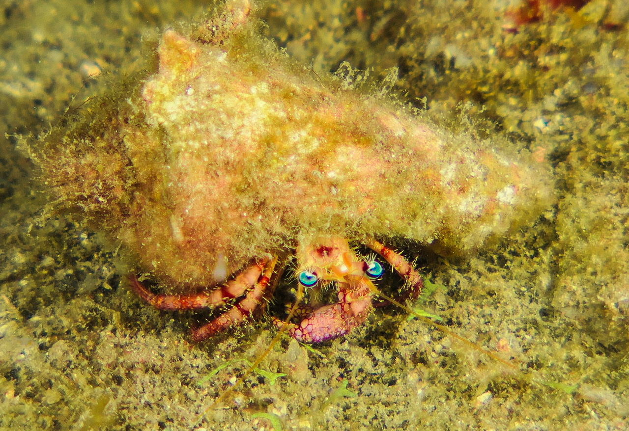 BE7AB853-6655-4845-98DC-14D885A26CD4