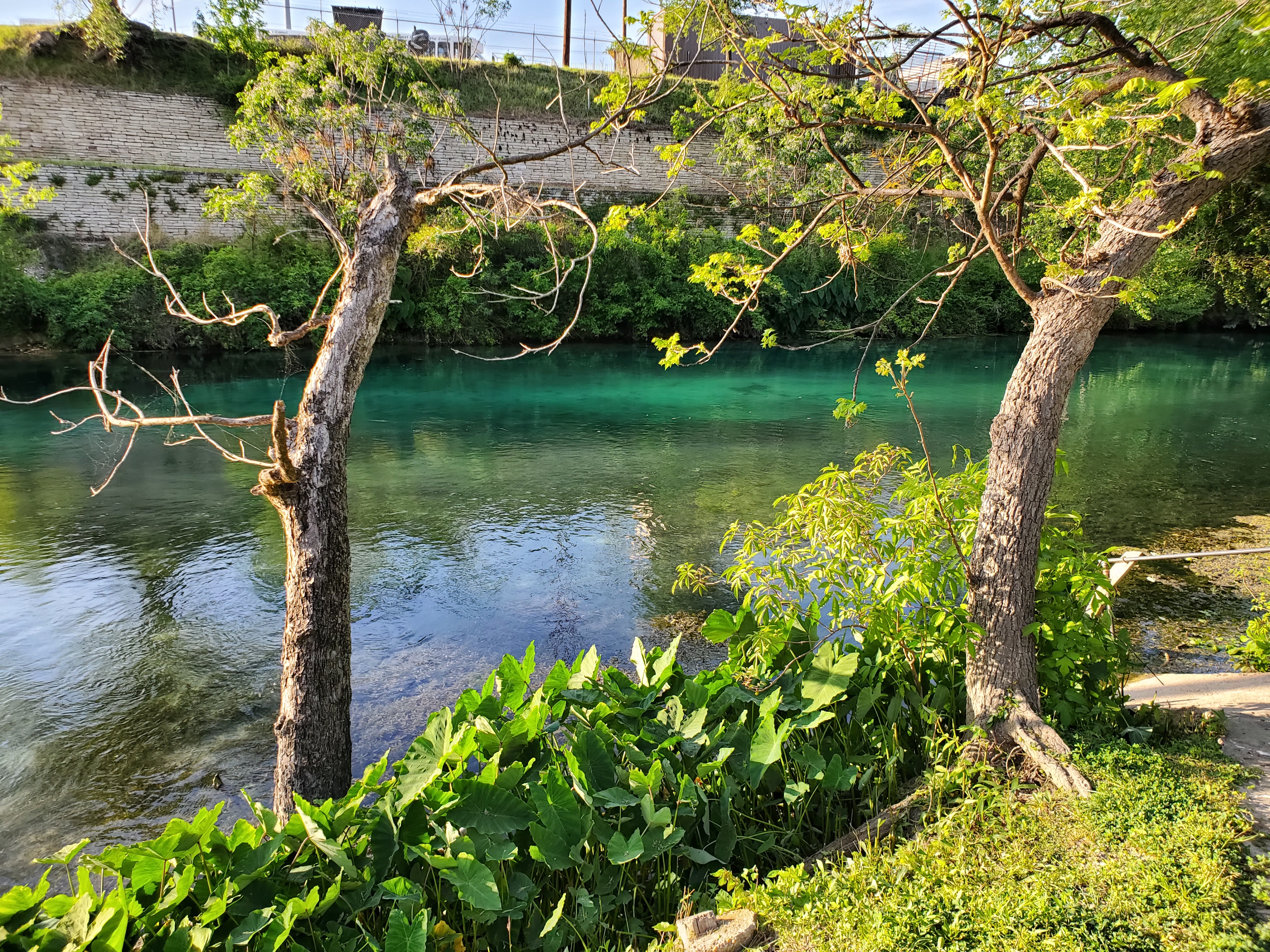 Beautiful Comal River