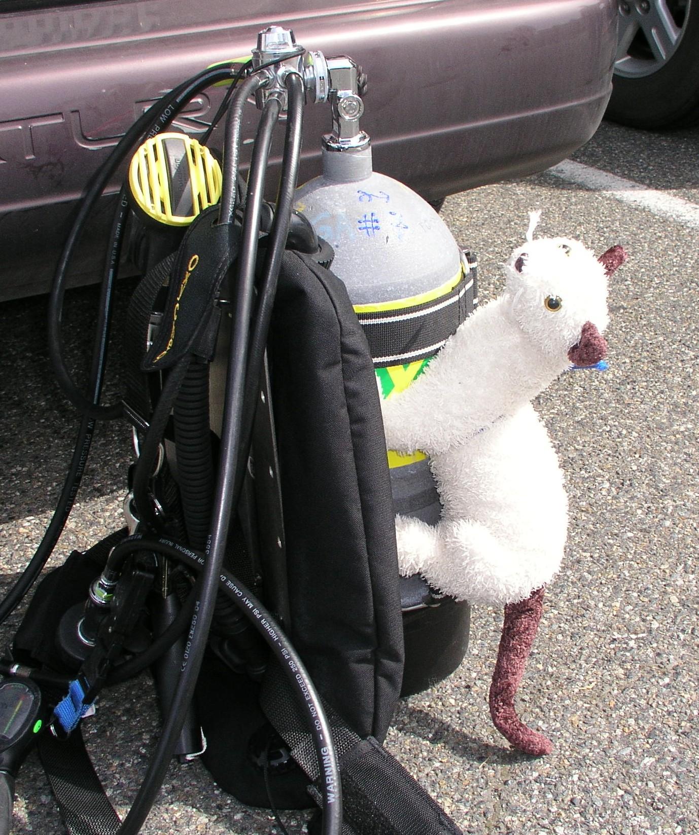 Before first Dive