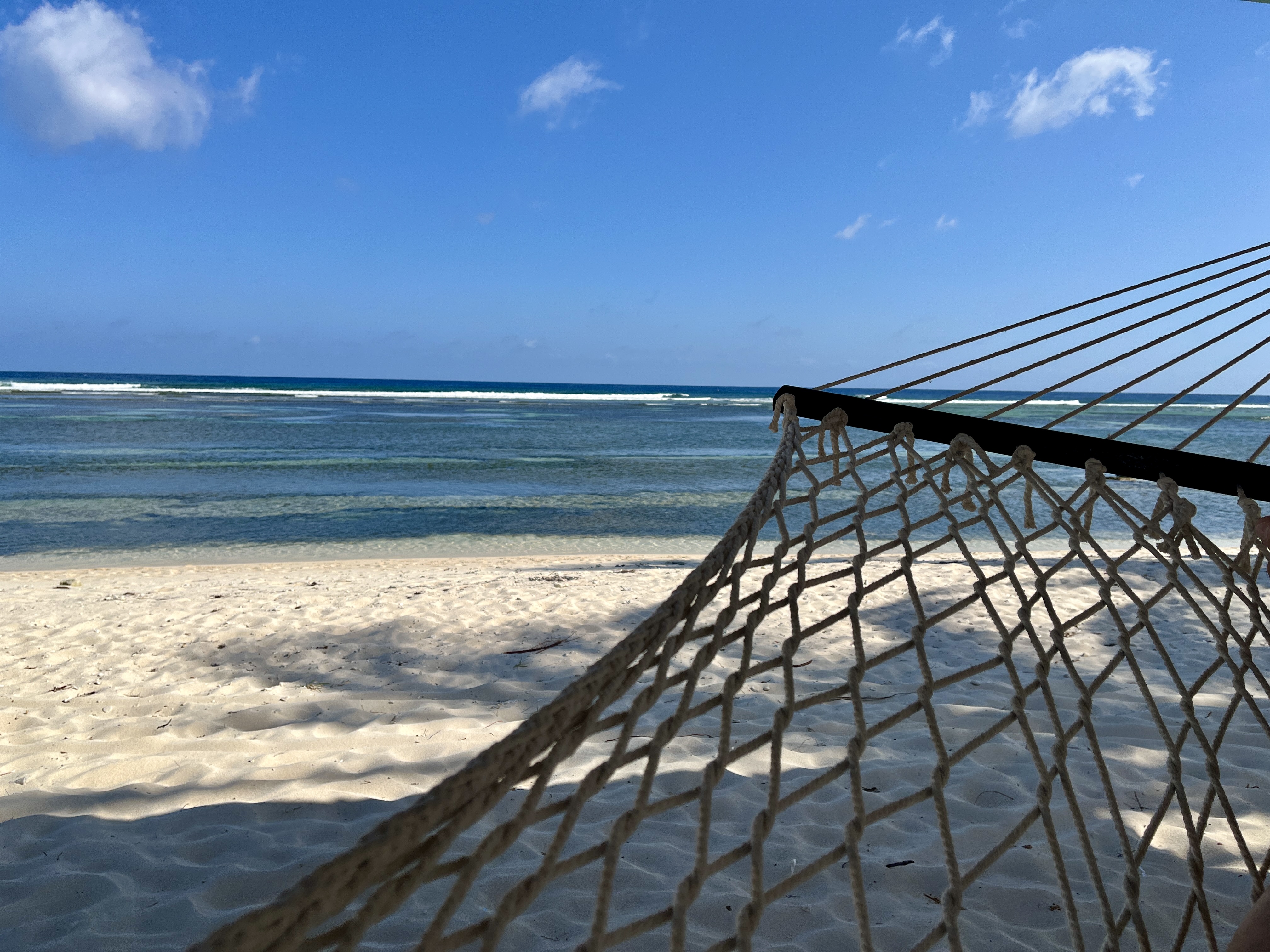 Begin vacation mode