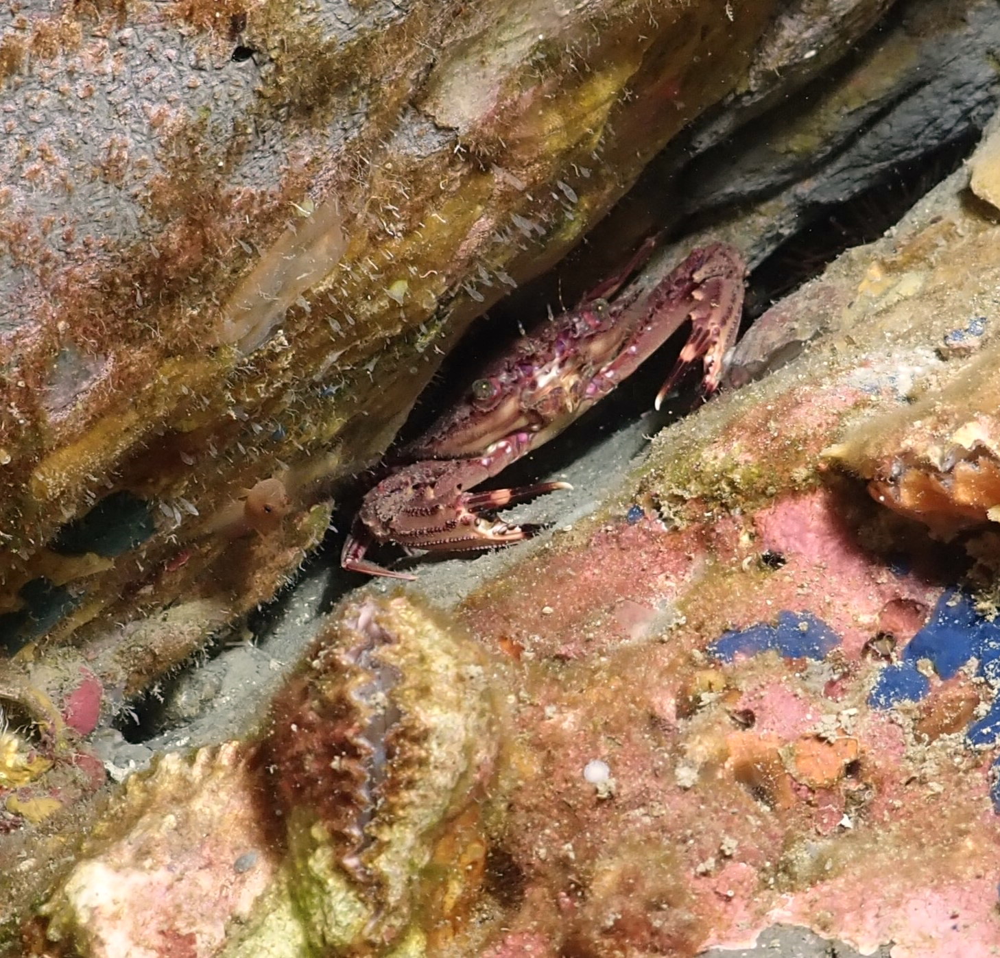 Between a rock & a hard place