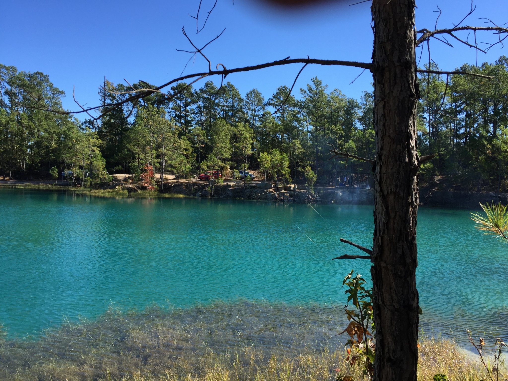 BF372A1E-63D0-46EB-BE8E-91EEB90CE5A2