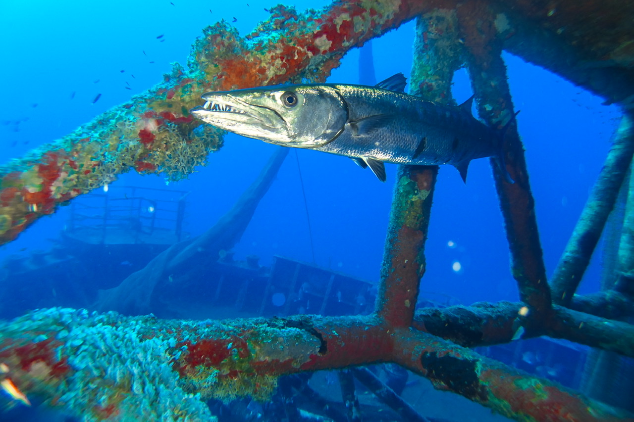 BF6A0E60-F16C-42B1-AD69-A3CEC9CC7050