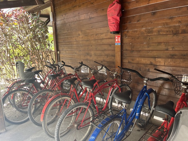 Bicycles at Le Bounty pension