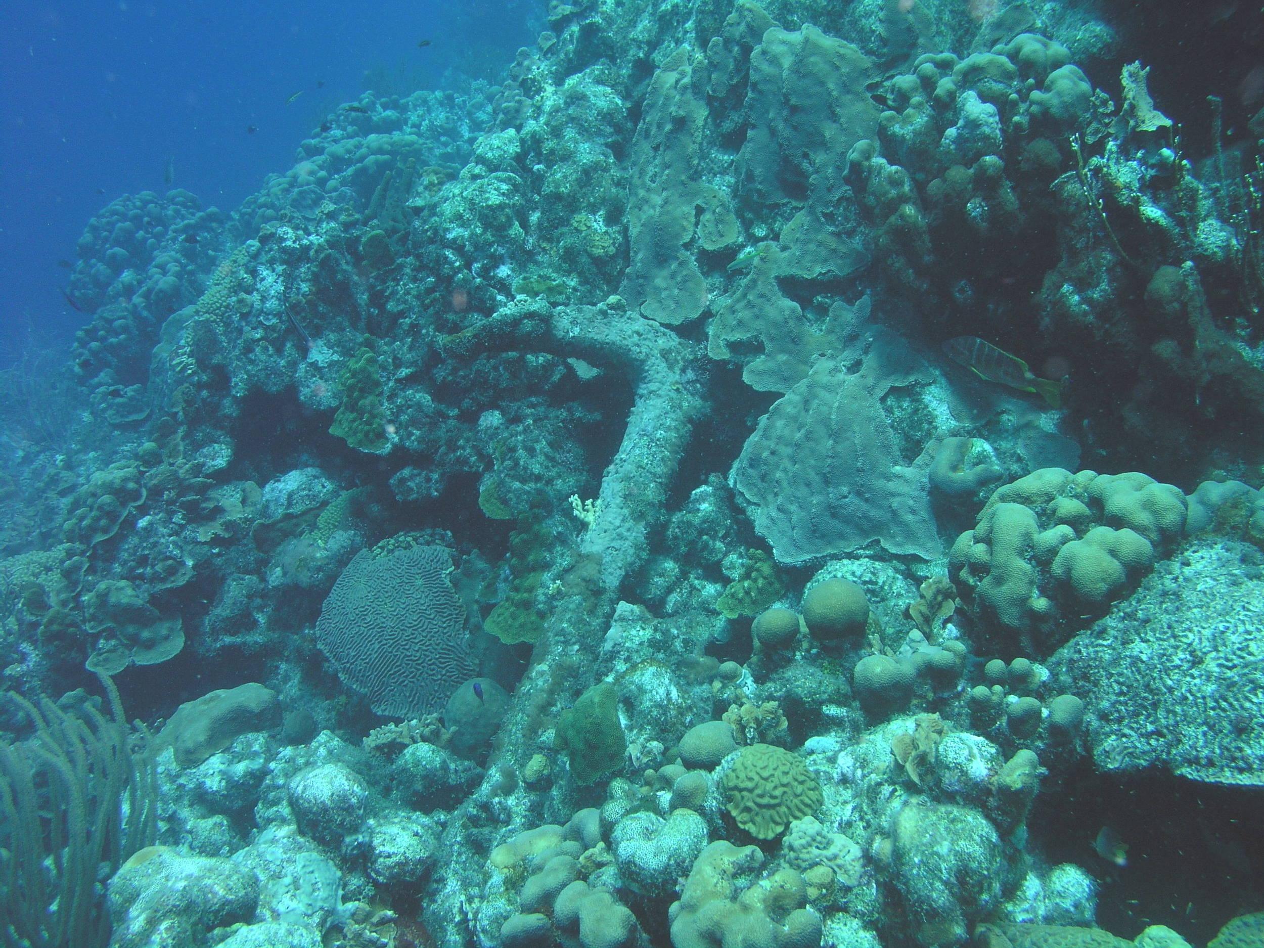 Big anchor at Karpata